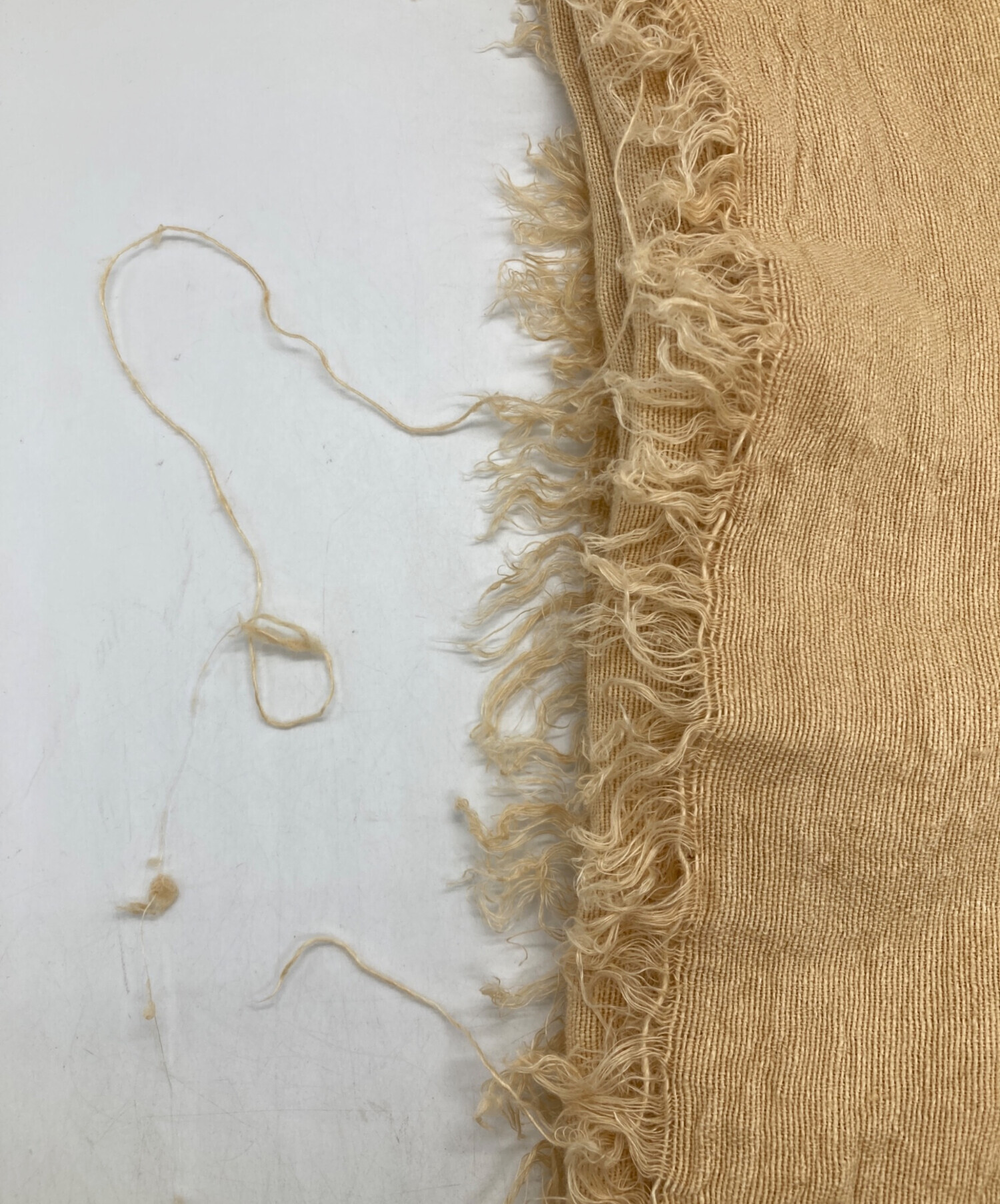 中古・古着通販】Ron Herman (ロンハーマン) ASAUCE MELER