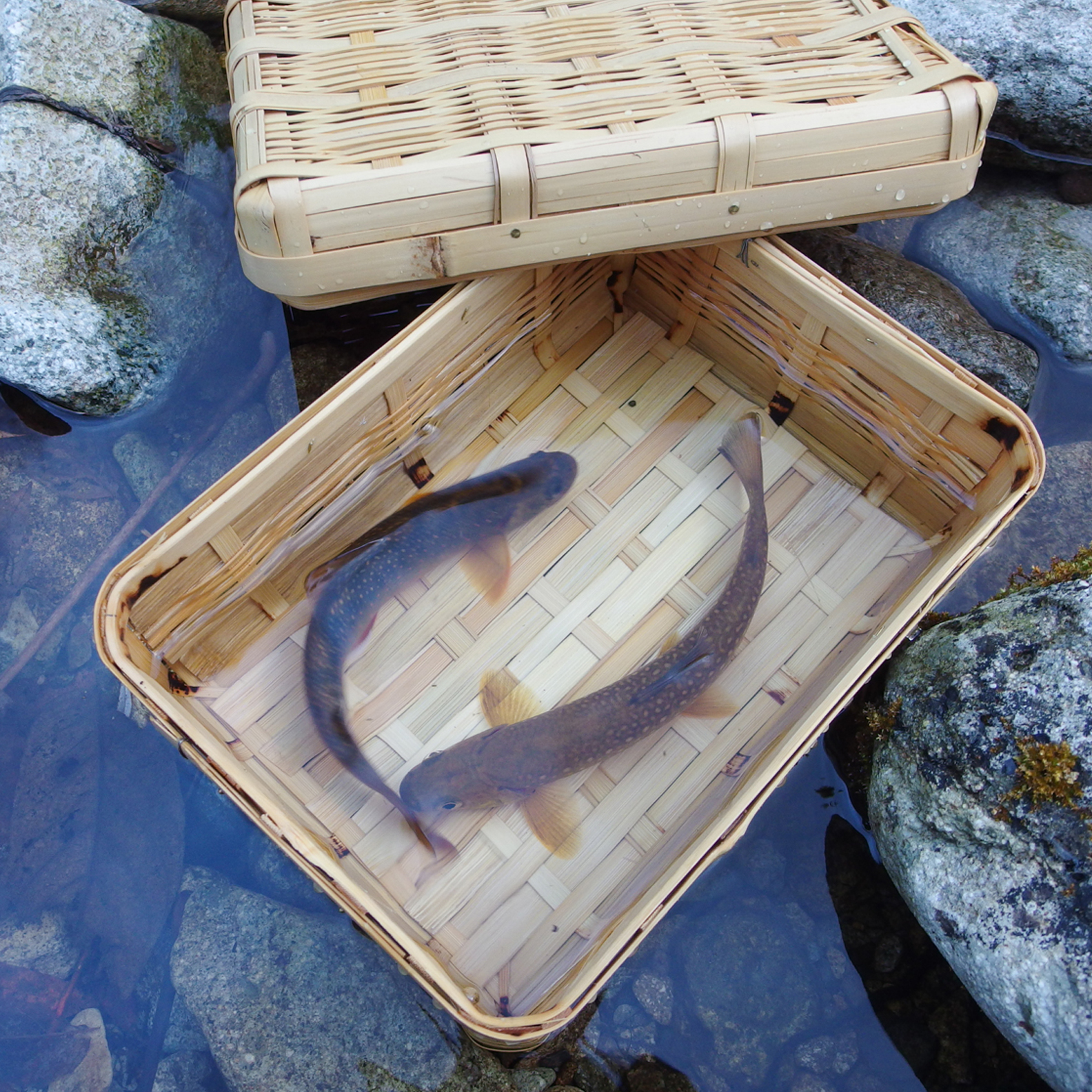 薩摩 竹行李 山行李（さんこうり） | 商品 | 海千山千會 - うみせん