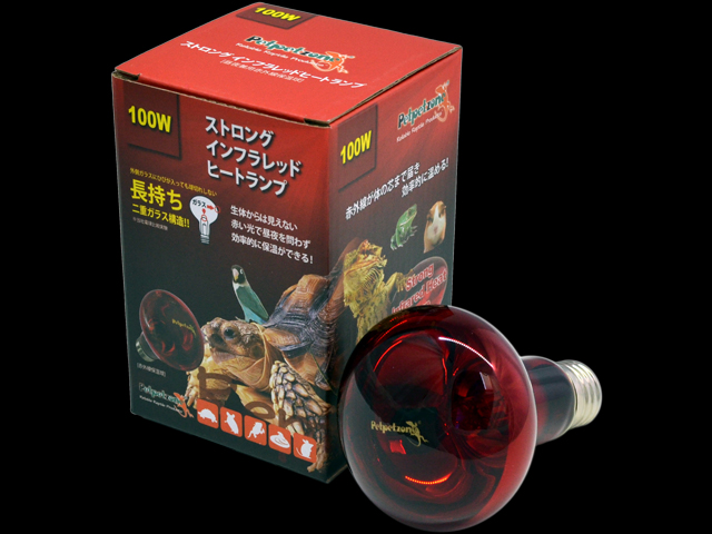 ストロングインフラレッドヒートランプ100W ペットペットゾーン 販売 通販
