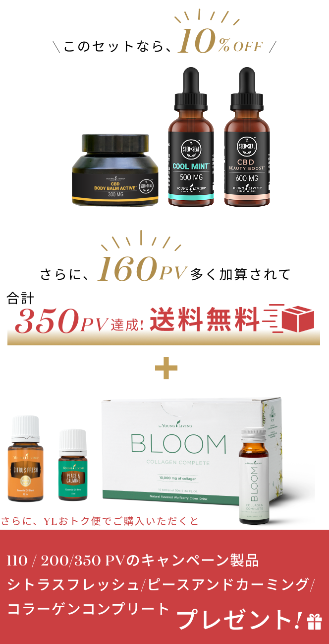 CBD コレクション｜前回ご好評いただいたCBDコレクションがこの冬再