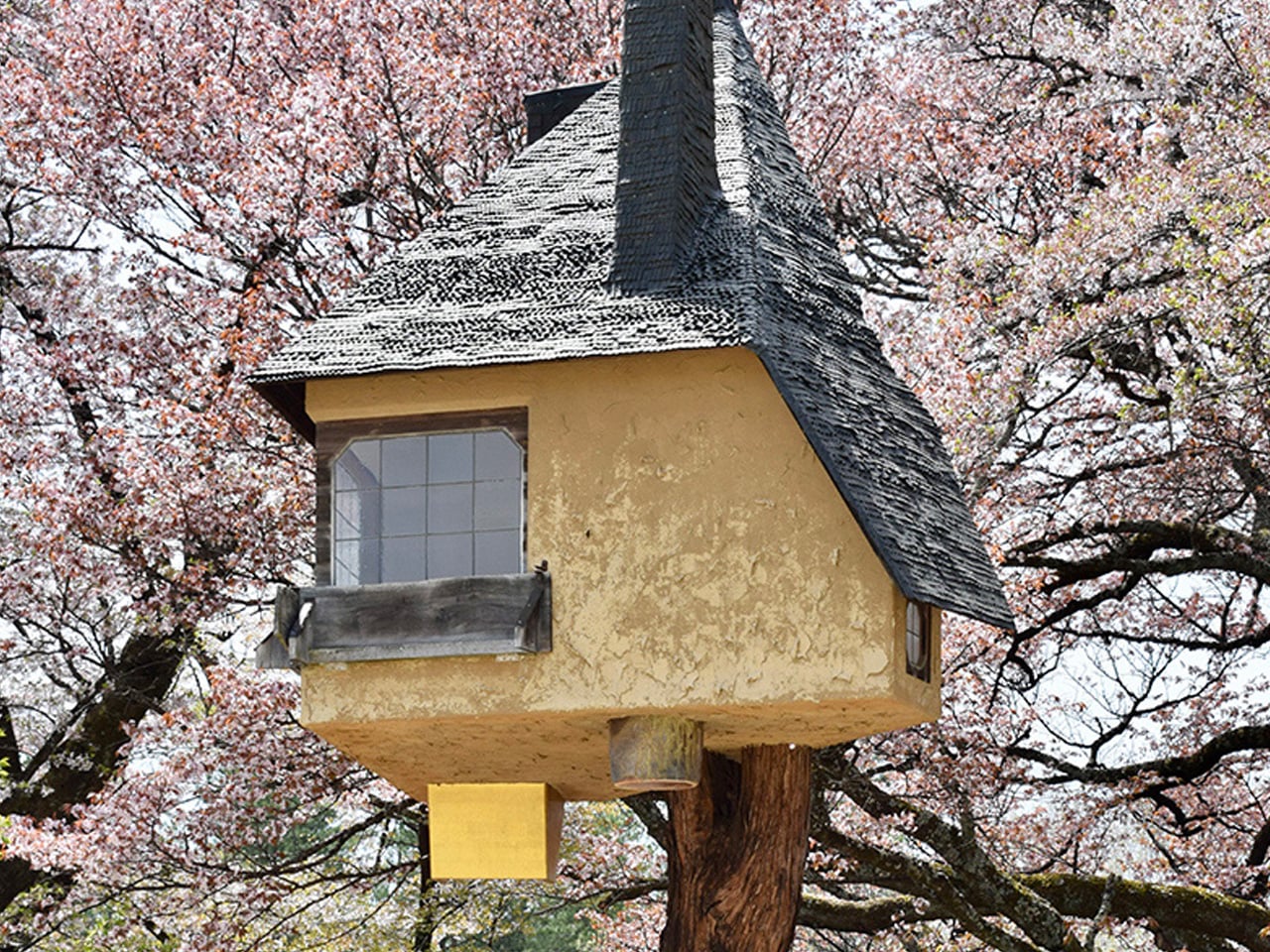 Explore Japan's Whimsical Floating Tea Houses Through Marco