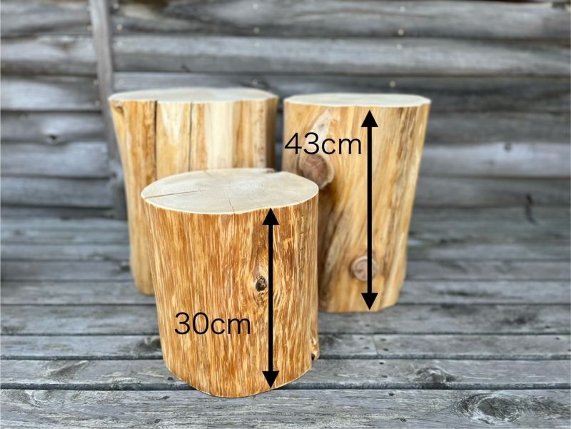 青森ヒバ専門店「わいどの木」 数量限定,スツールどんころ