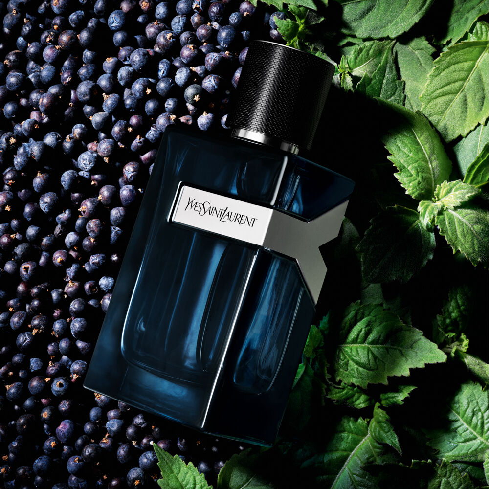 Y Eau de Parfum Intense | Fresh Men's Cologne | YSL Beauty