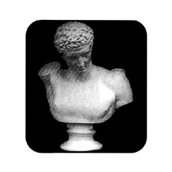 石膏デッサン 大胸像 ヘルメス | ゆめ画材