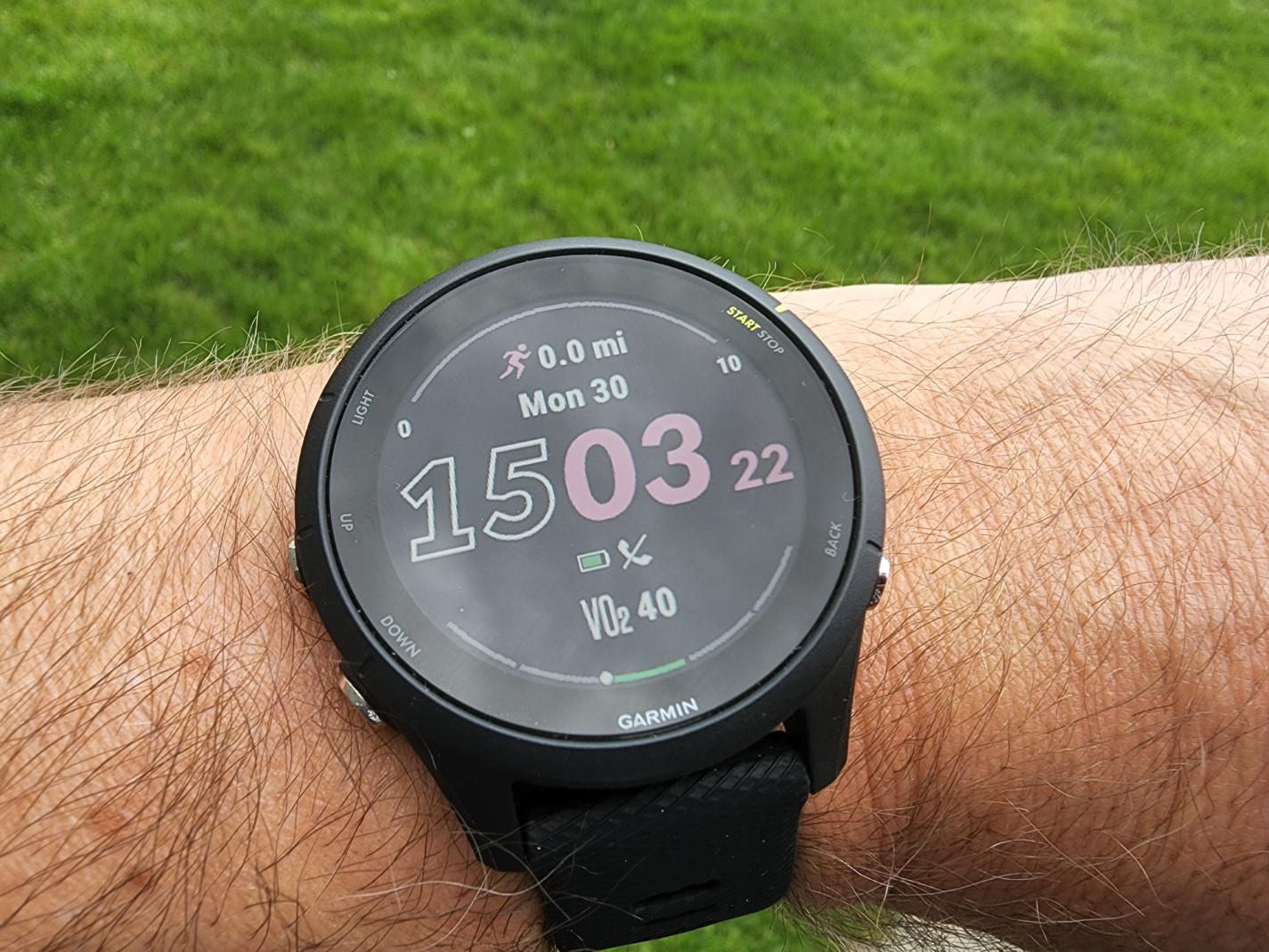 Garmin Forerunner 255 Music review: A runner's watch fit for the