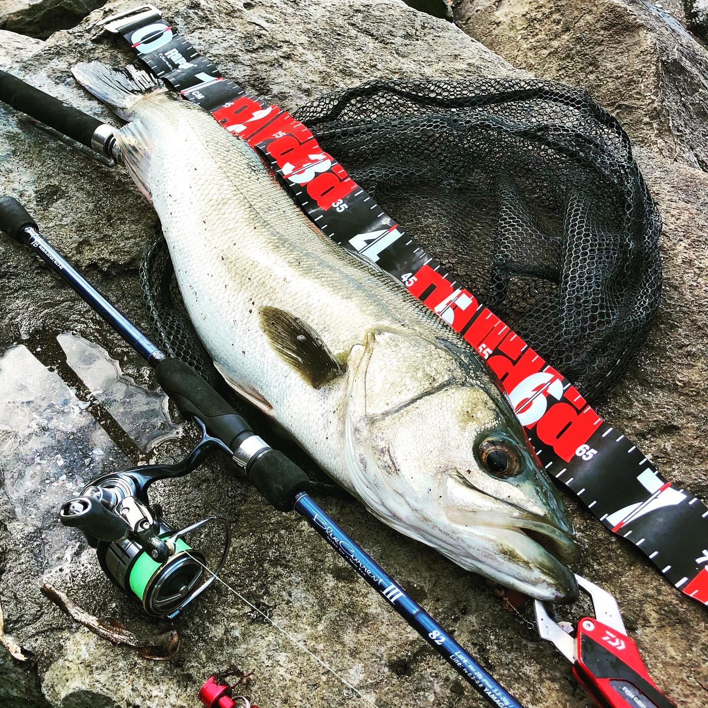 BlueCurrentⅢ82 セイゴ・フッコ・スズキ | YAMAGA BlanksYAMAGA Blanks