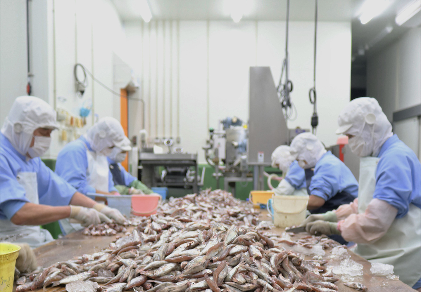 宇和島 安岡蒲鉾ホームページ