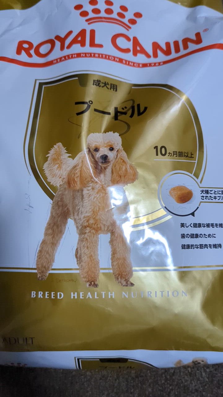 ブリード ヘルス ニュートリション ロイヤルカナン BHN プードル 成犬