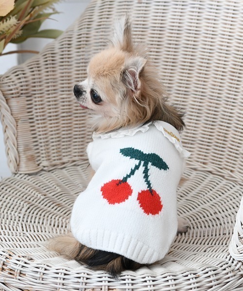 One Octave（ワンオクターブ） 犬 服 One Octave/さくらんぼニット