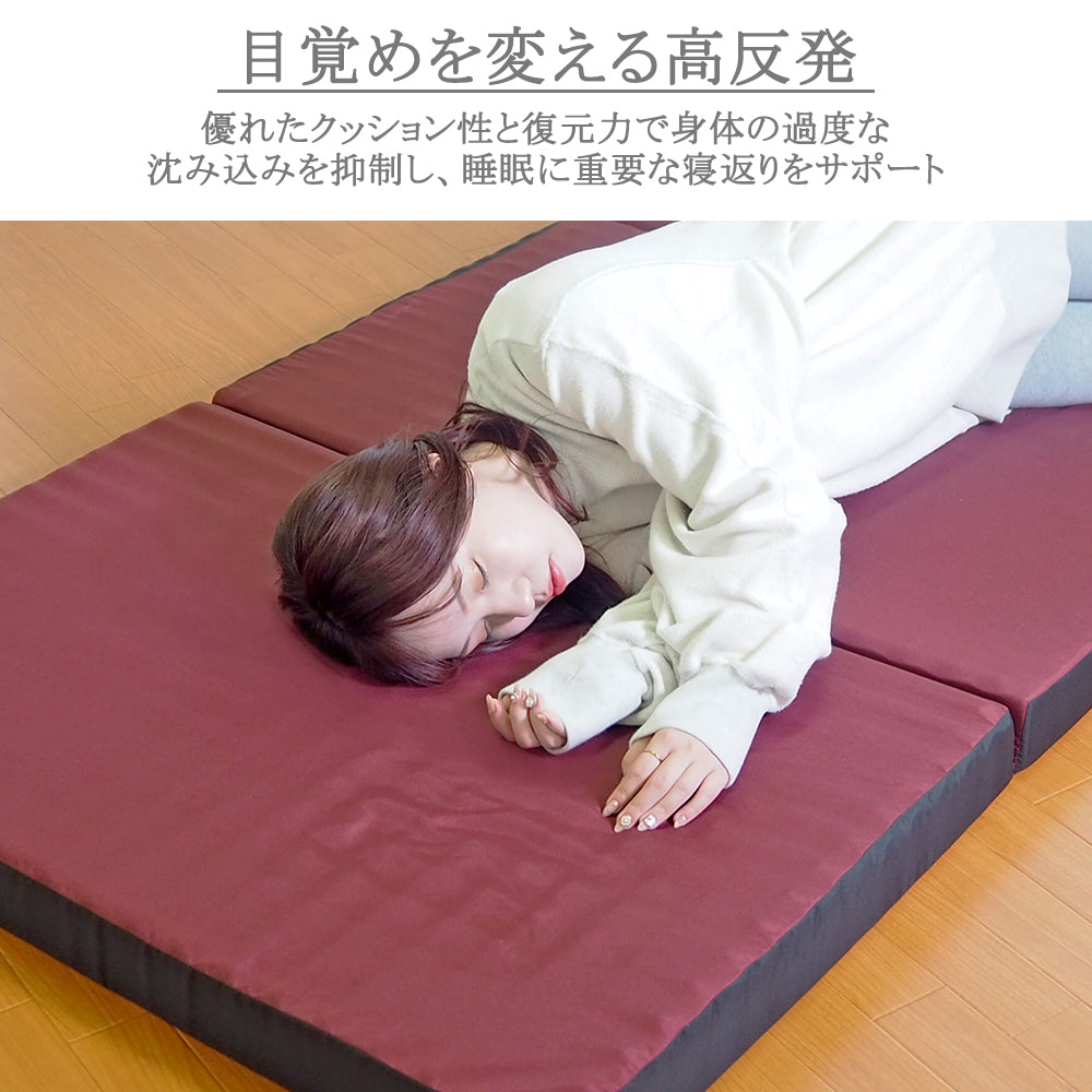 AK-332 SD] 大小2つの山が身体を支える体圧分散マットレス セミダブル