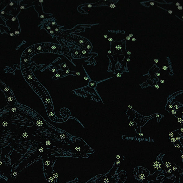 プリンティッドイメージ ネイチャープリントバンダナ 星座 ブラック