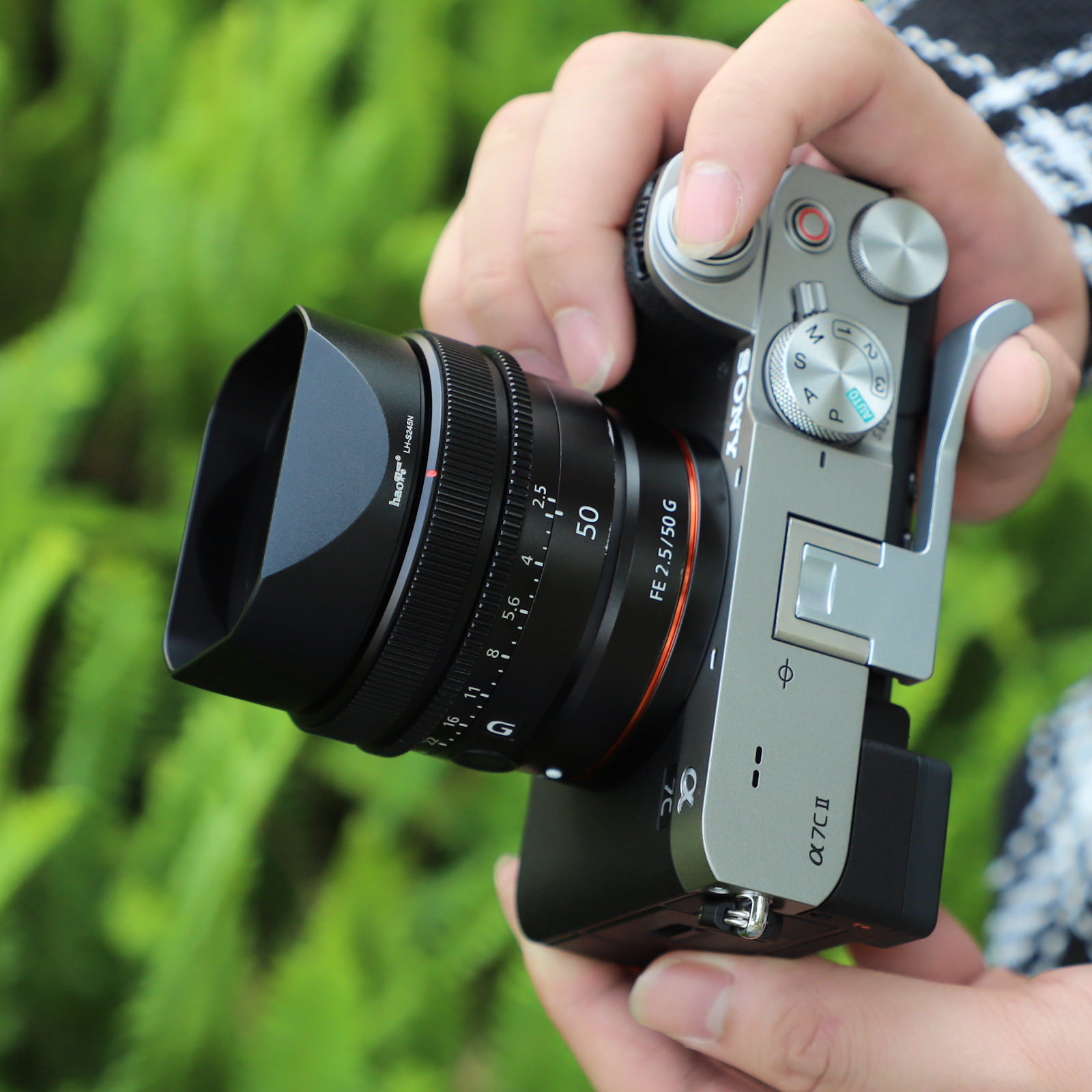 Sf62b5555c1754419aaee005186da5