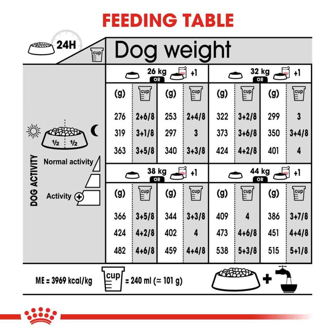 Royal Canin Maxi Dermacomfort Food Adult Dogs | Dry Dog Food