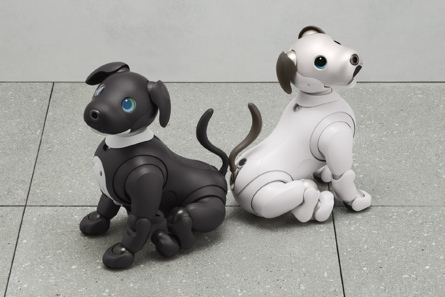 aibo エスプレッソ エディション | aibo