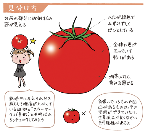 トマト | JA会津よつば