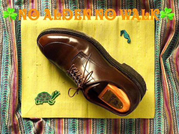 オールデン社 125周年を記念して作られたVチップ 54650 - オールデンの