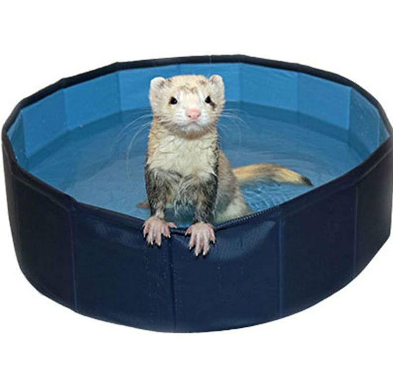 小動物用 フェレットのおもちゃ MarshalPet マーシャルペット