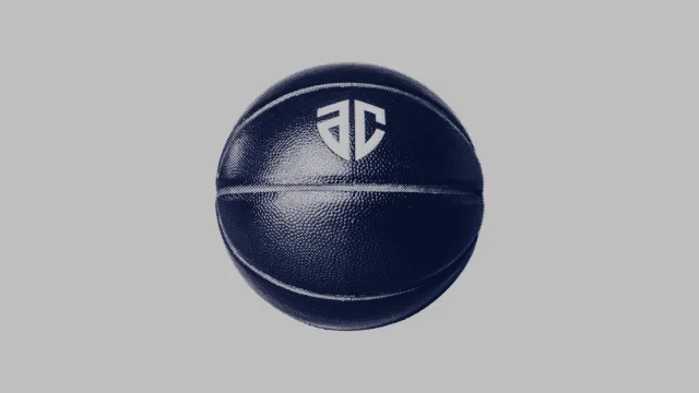2月11日(土),2月12日(日) 第21節 アースフレンズ東京Z戦 (B.LEAGUE B2