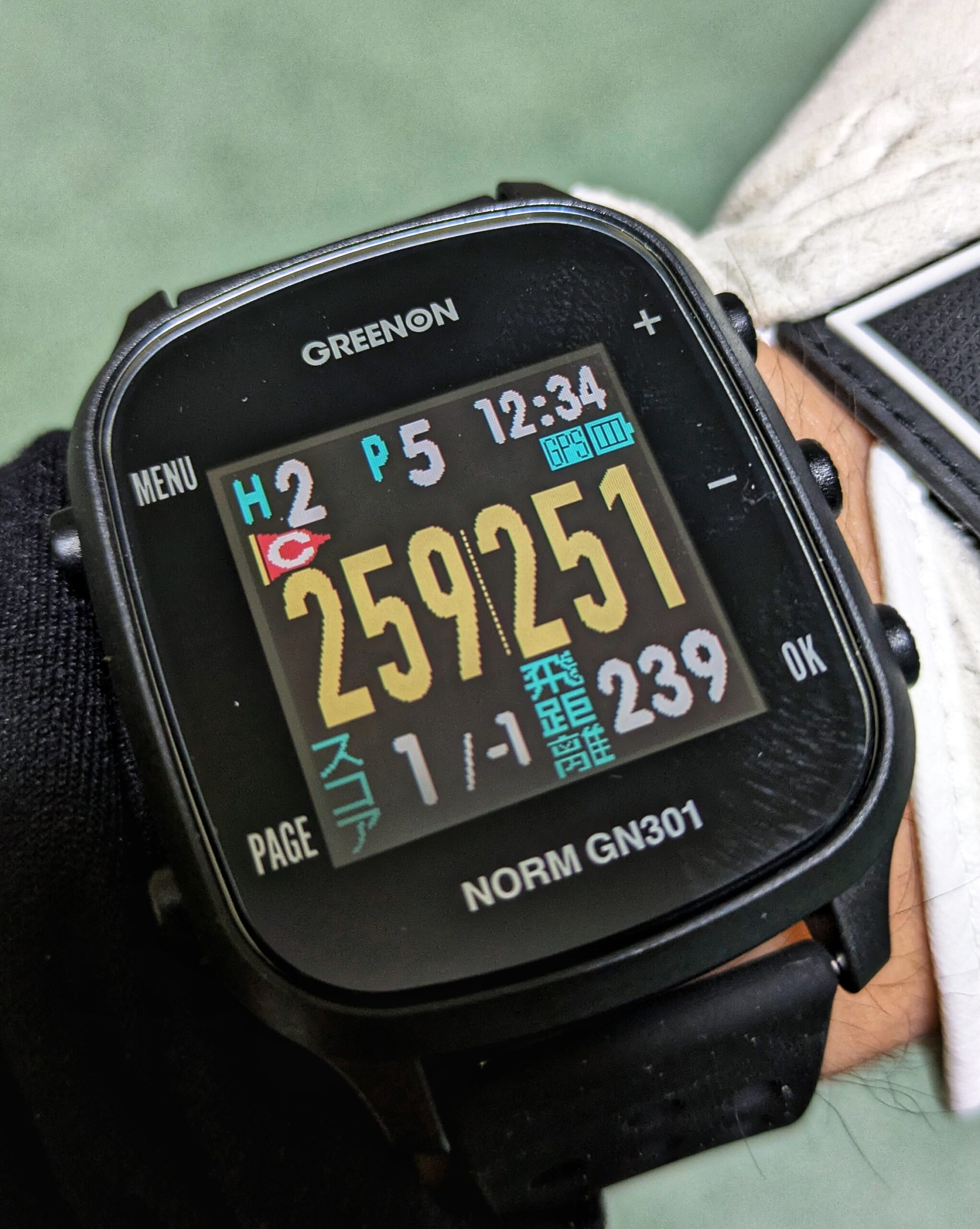 グリーンオン NORM(ノルム) GN301を実際に使用してみての評価と商品