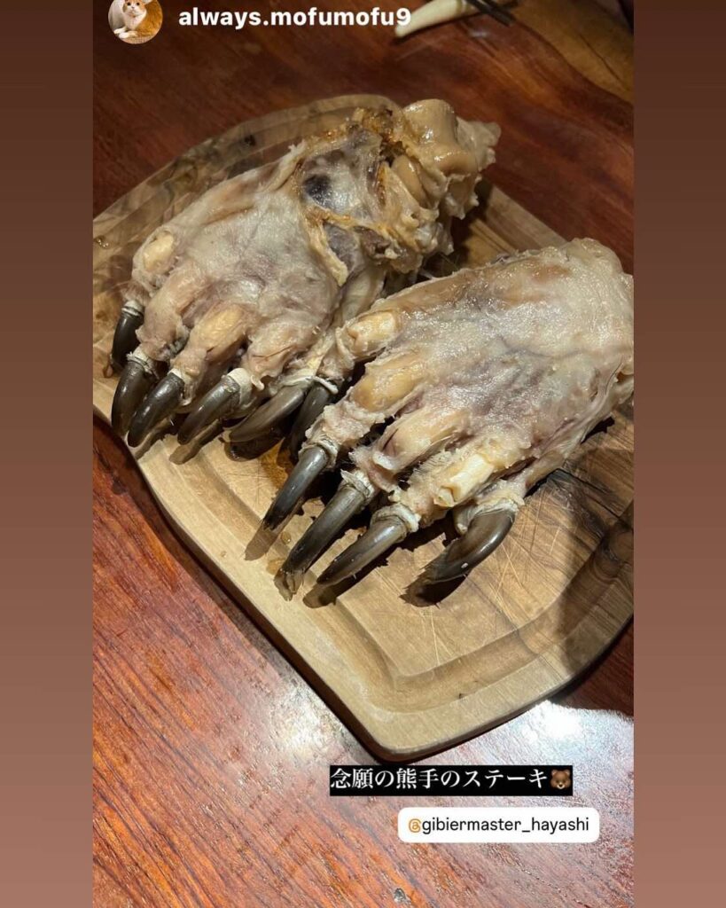 熊の手って美味しいの？ジビエ料理店の店主が徹底解説 - ジビエ料理