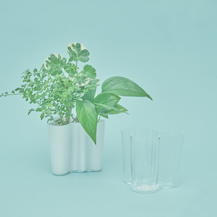 IITTALA アアルトベース ホワイト｜土を使わない観葉植物 – &Green