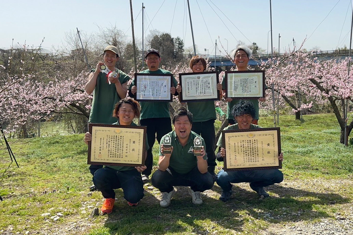 山形セレクション認定品 さくらんぼ 佐藤錦 特秀品 Lサイズ以上 300g S