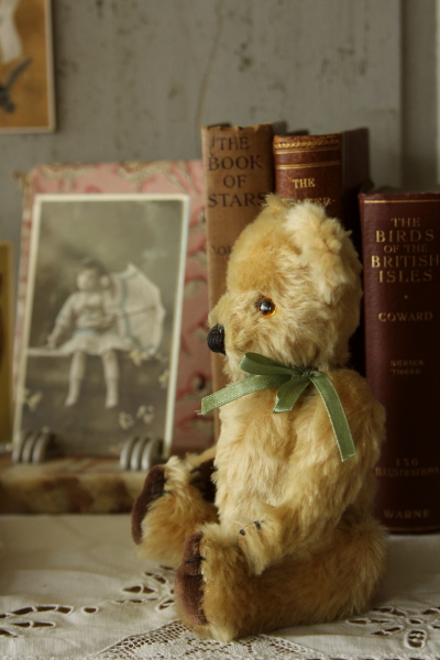 アンティークベア イギリス グラスアイ 20180718 【Antiques Truffle