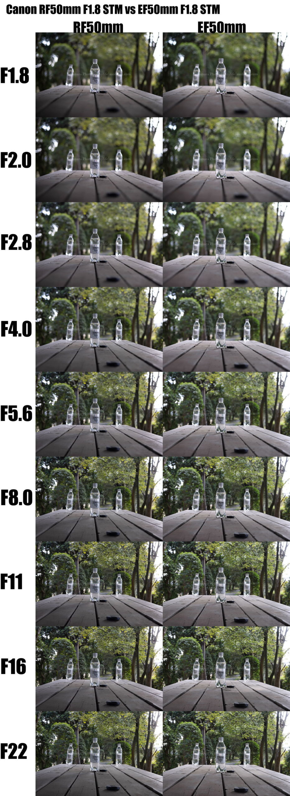 キヤノン「RF50mm F1.8 STM」vs「EF50mm F1.8 STM」ボケ編 - とるなら