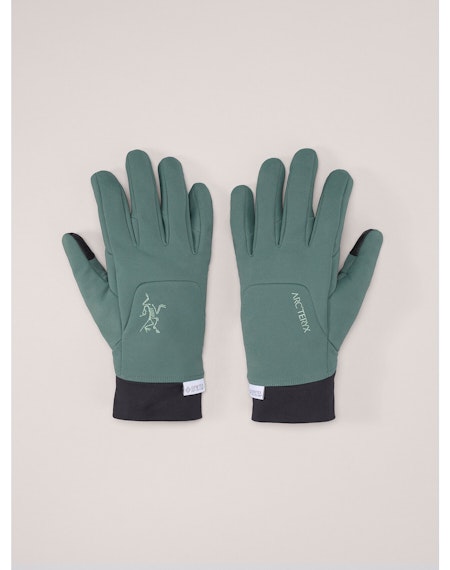Arc'Teryx Venta Gloves – Arc'teryx | Ascent Outdoors