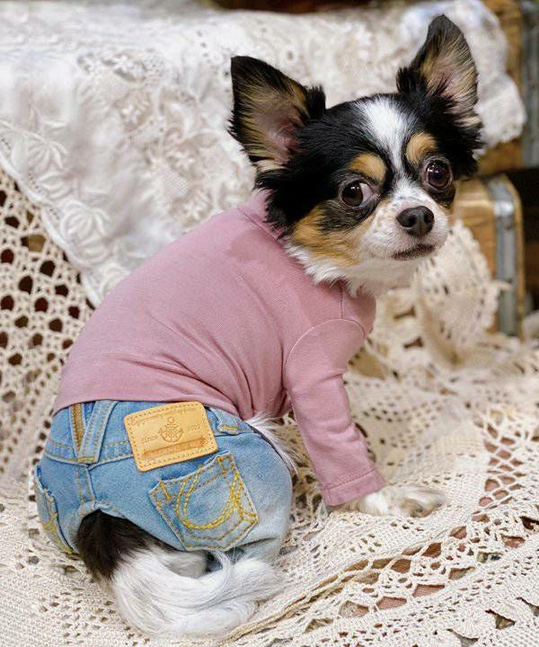 NアンニュイホットTT | AS KNOW AS オンラインショップ