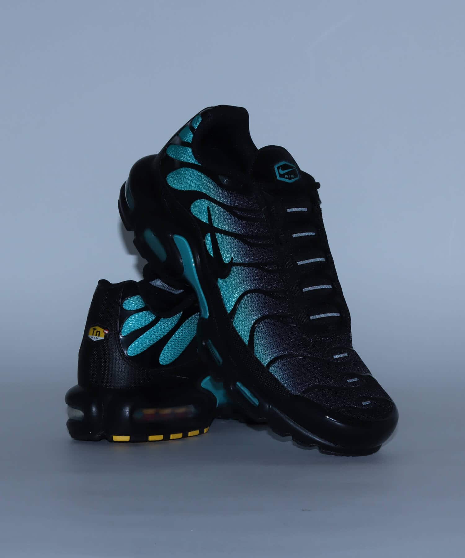 NIKE AIR MAX PLUS BLACK/BLACK-DUSTY CACTUS（ナイキ エア マックス