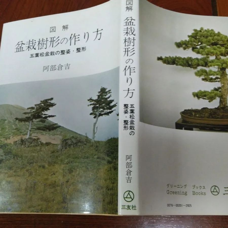 図解 盆栽樹形の作り方 五葉松盆栽の整姿・整形 阿部倉吉 三友社 盆栽