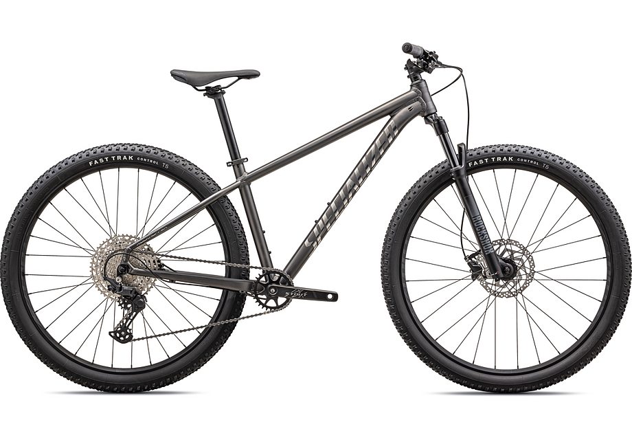 ROCKHOPPER EXPERT SMK/CHRM L - 29(L サテンスモーク/グロスクローム