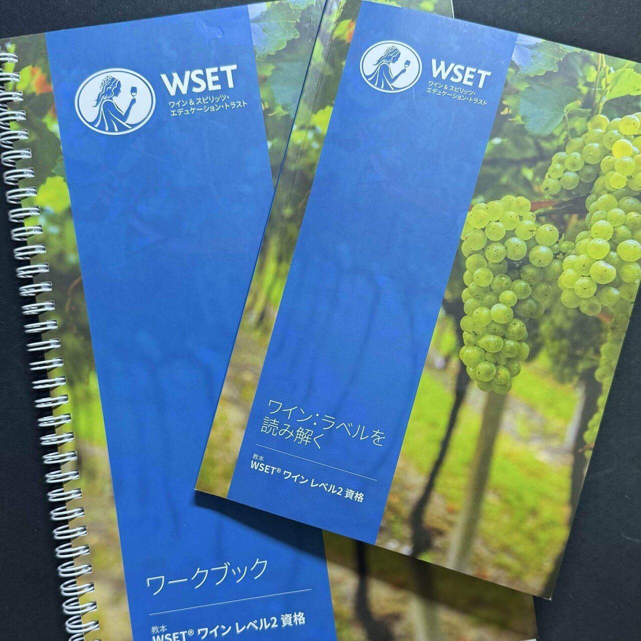 WSET Level2：Specification規定を読み込んで試験を分析しながら対策を