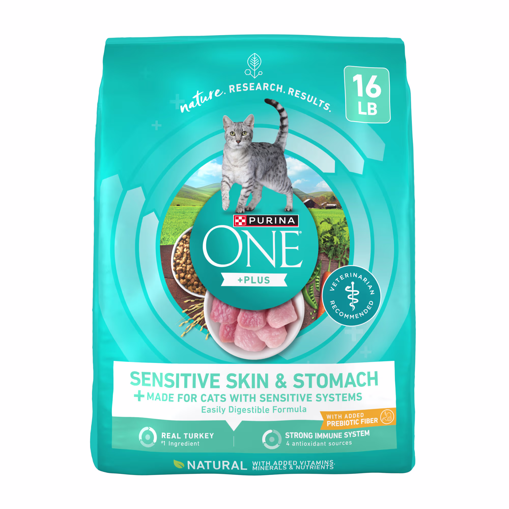 Purina ONE +Plus Sensitive Skin and Stomach Formula Natural Dry