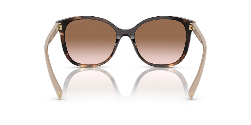 Prada PR 22ZSF M (55 - 16) with Brown lenses and Tortoise frame