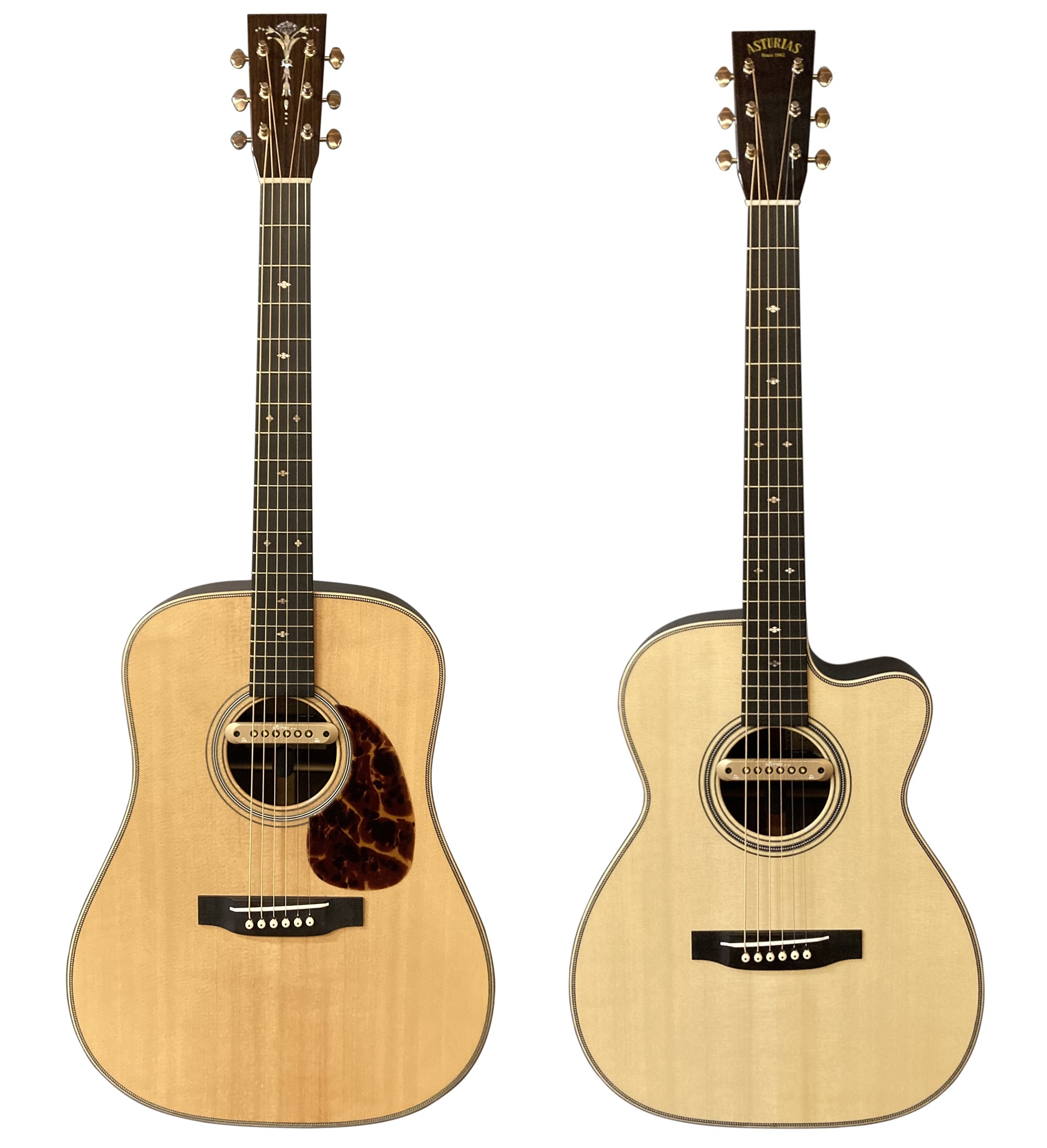 新ピックアップ搭載のエレアコが登場！ - ASTURIAS