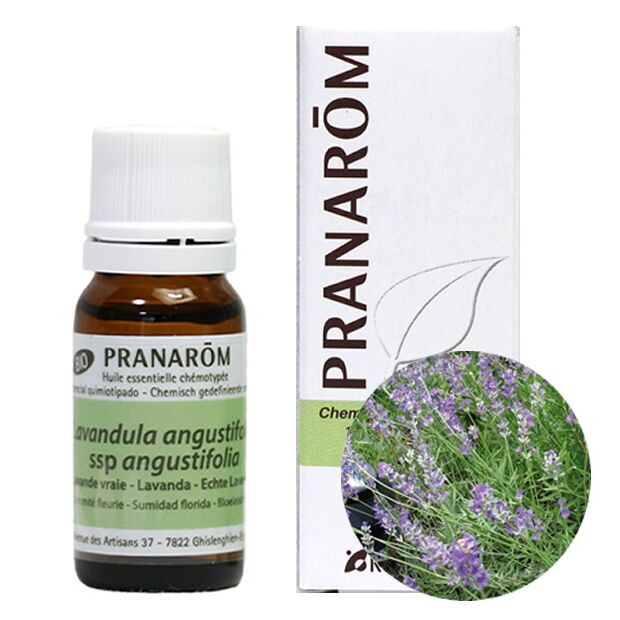 プラナロム ラベンダー アングスティフォリア｜アロマ×アロマ