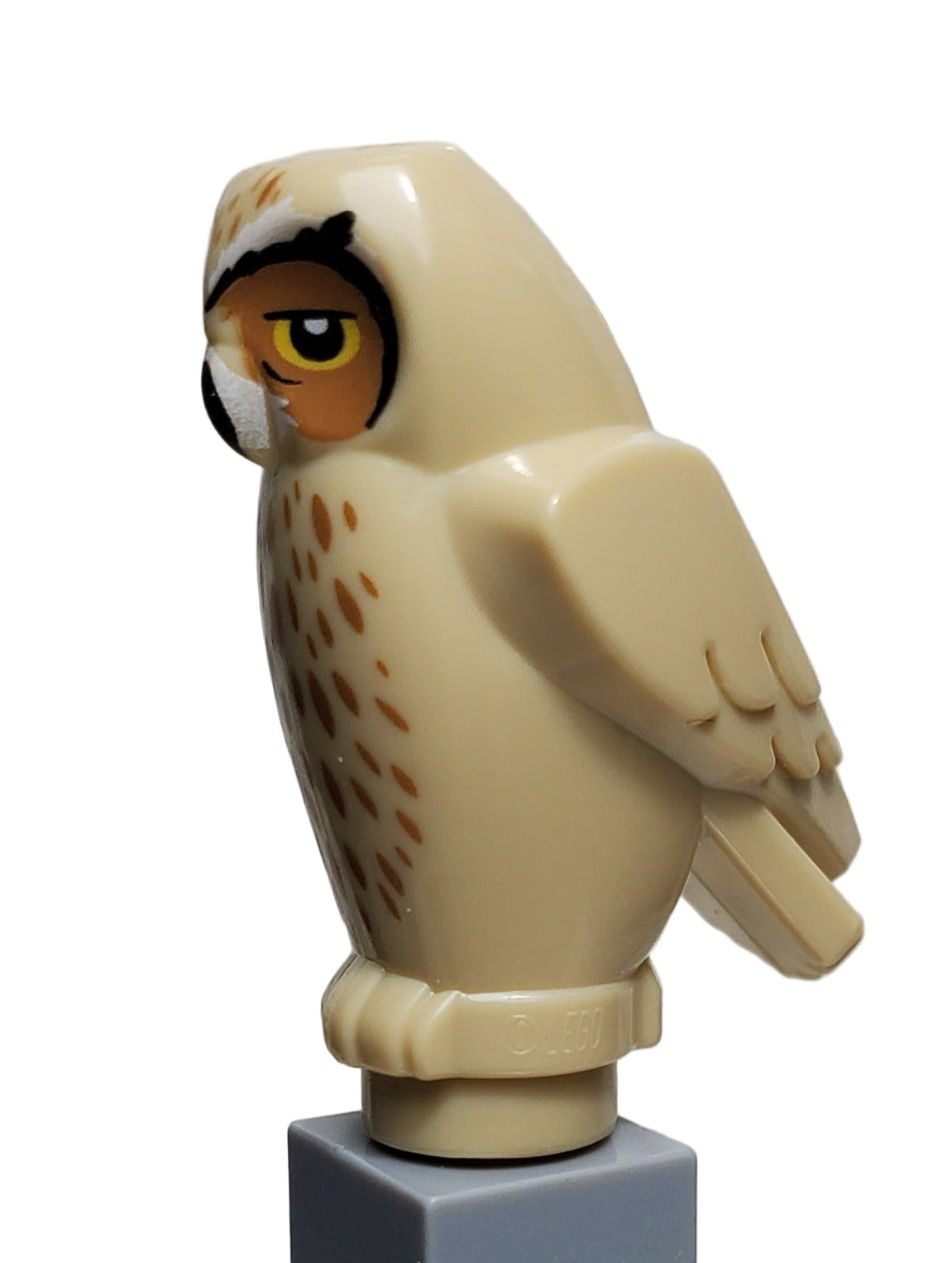 Owl, One Closed Eye, 92084pb05 – United Brick Co®