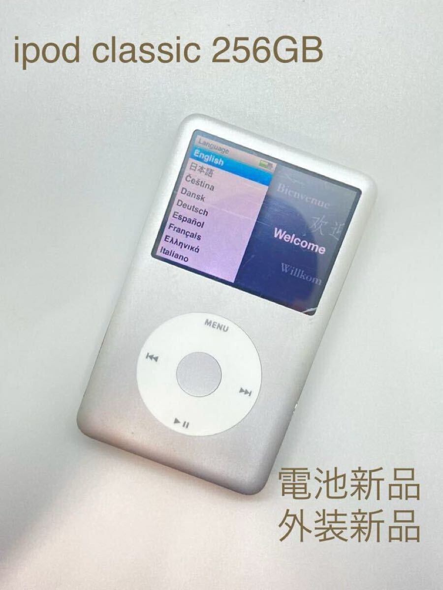希少Apple iPod classic 第6 5世代 160GBから256GB パープル 紫色