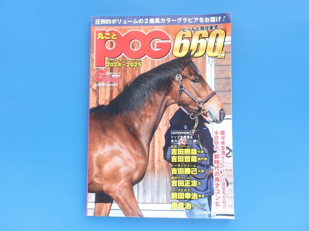 2026年最新】Yahoo!オークション -週刊ギャロップ永久保存版の中古品