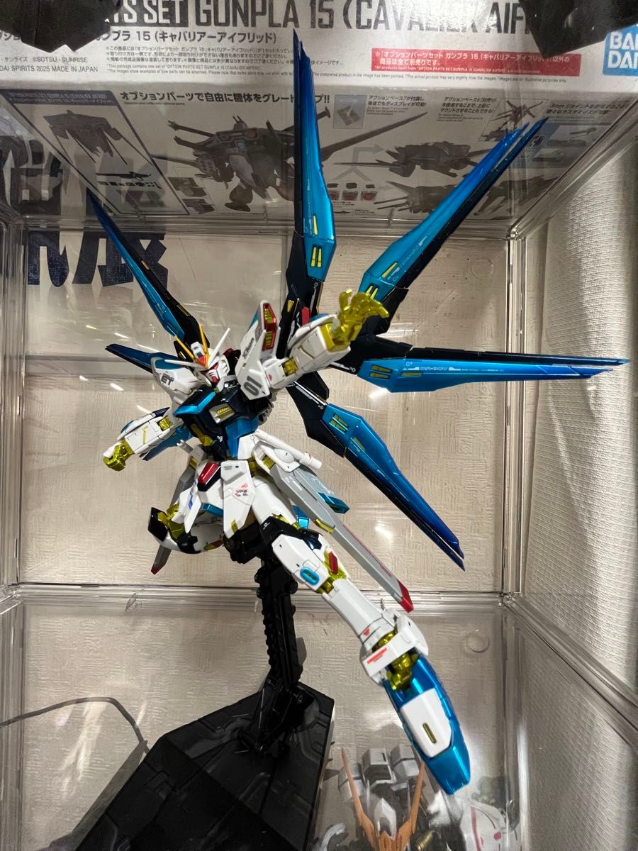 RG ストライクフリーダム デスティニーガンダム チタニウム