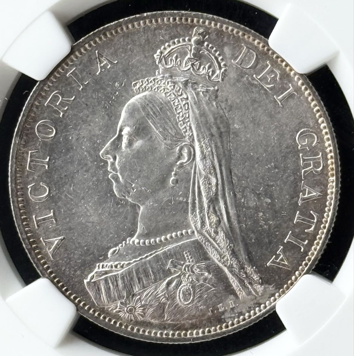 2026年最新】Yahoo!オークション -ダブルフローリンの中古品・新品・未