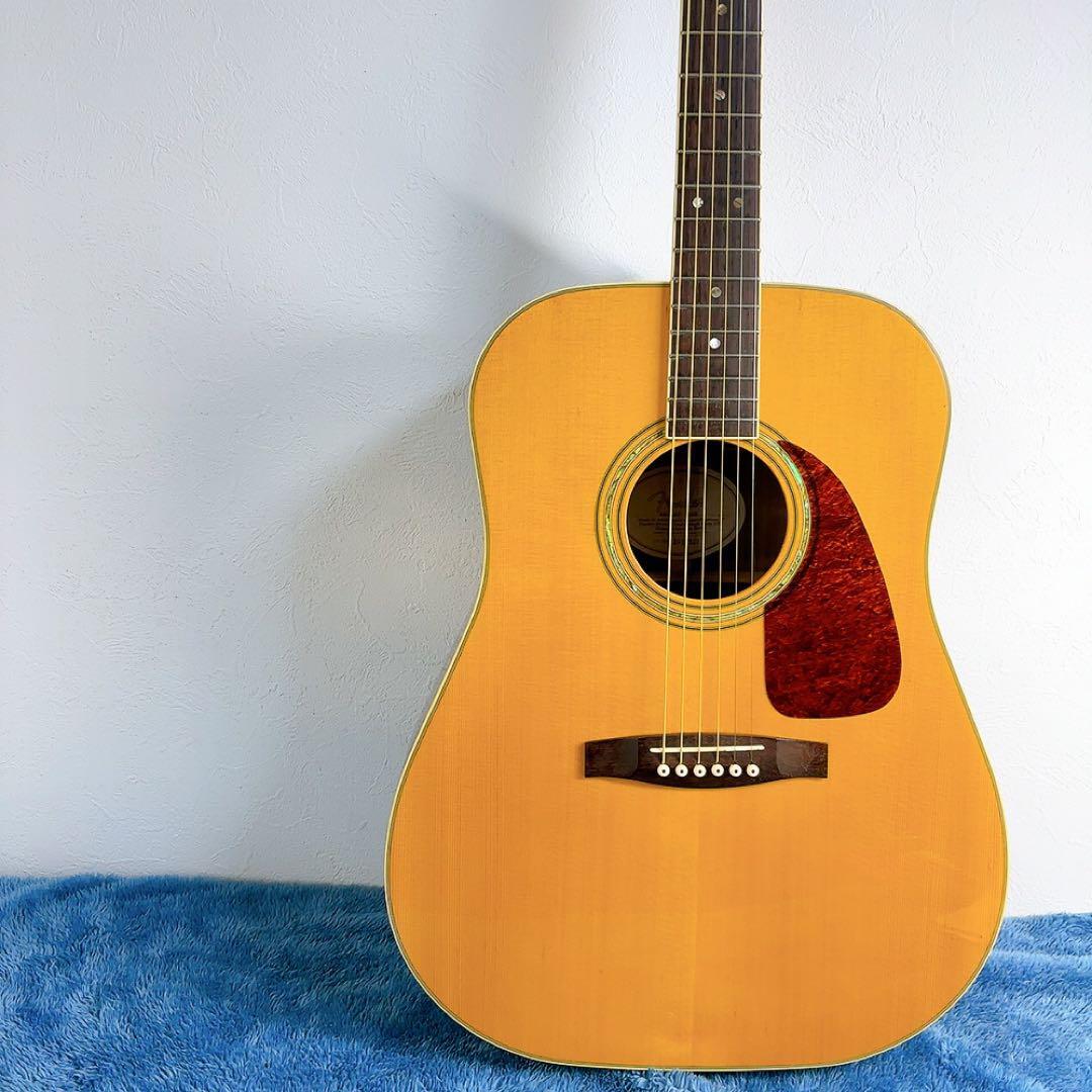 Yahoo!オークション -「fender sac」(本体) (アコースティックギター