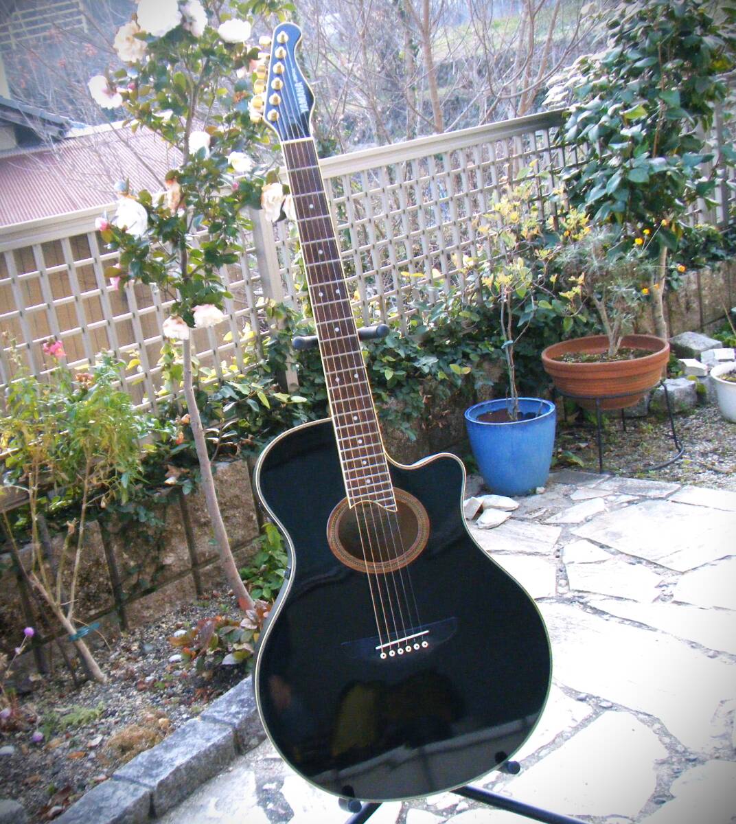 Yahoo!オークション -「yamaha apx 8」(アコースティックギター