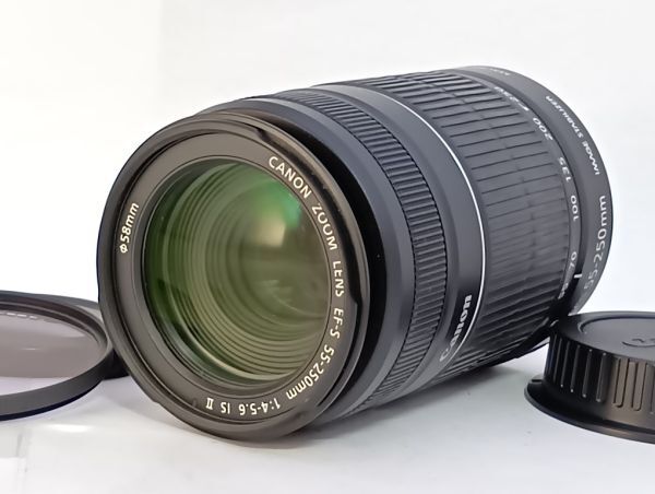 Yahoo!オークション -「ef-s55-250mm f4-5.6 is ii」の落札相場・落札価格