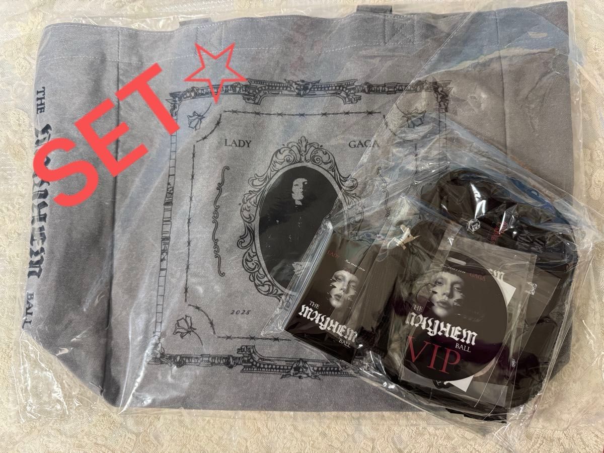 LADY GAGA VIP GOLD グッズ フルセット ゴールド VIPグッズ