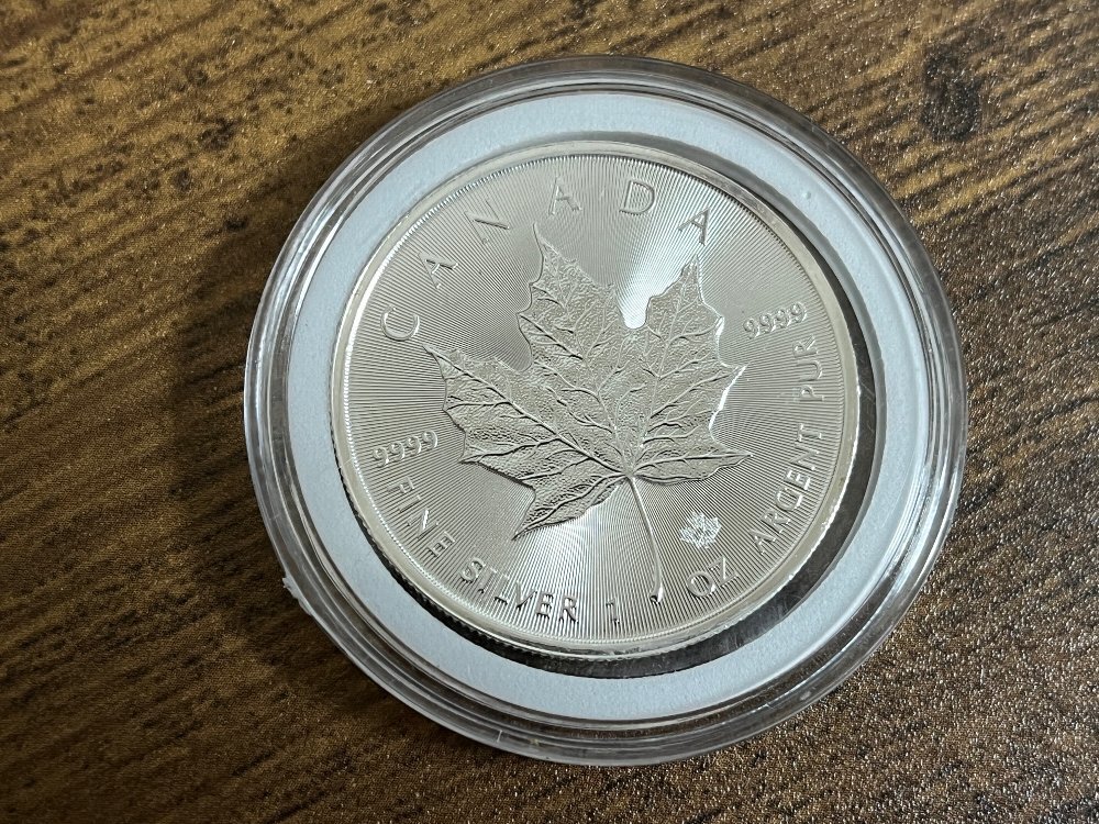 2026年最新】Yahoo!オークション -カナダ メイプルリーフ 銀貨の中古品