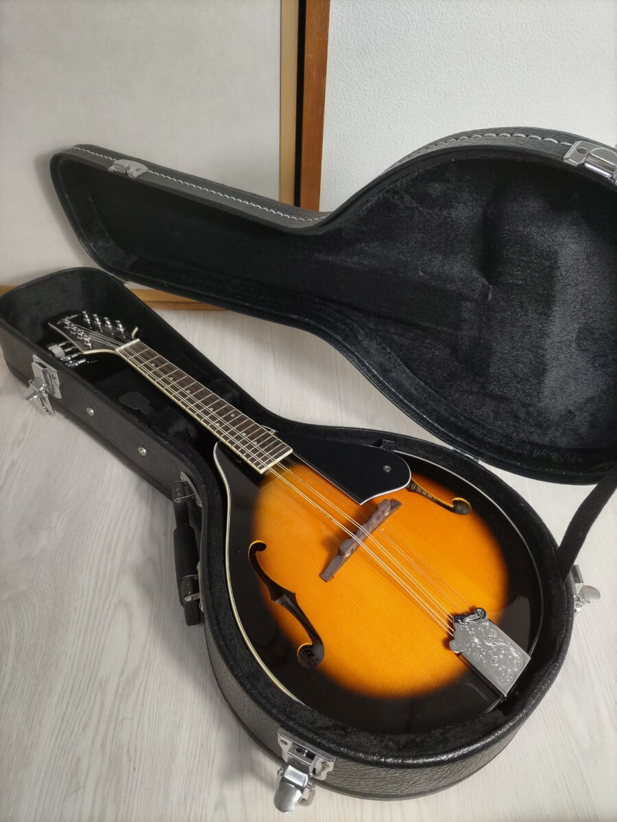 2026年最新】Yahoo!オークション -フラットマンドリンの中古品・新品