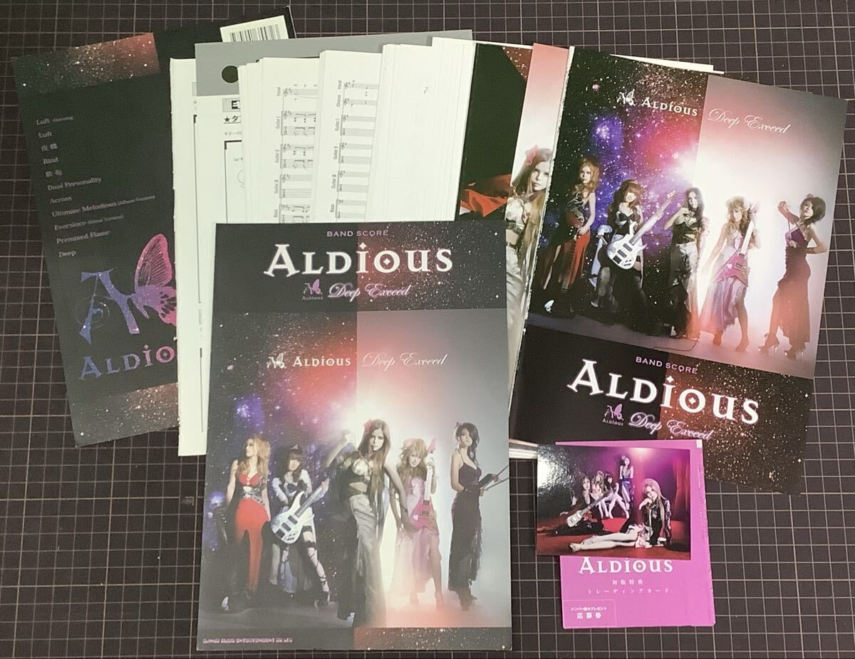 2026年最新】Yahoo!オークション -aldiousの中古品・新品・未使用品一覧